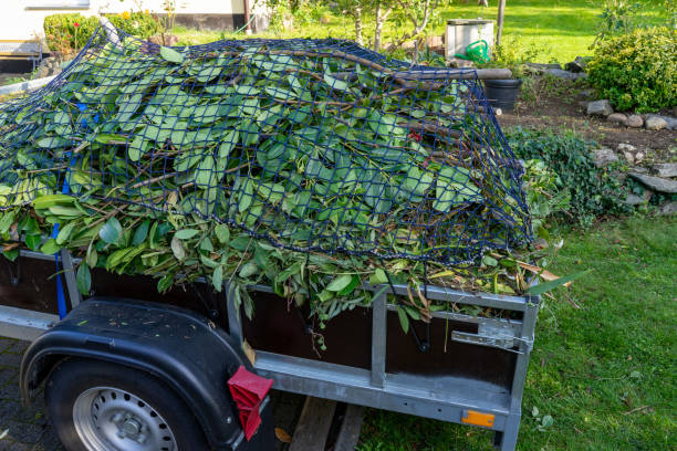 Best Scrap Metal Removal  in Williston Highlands, FL